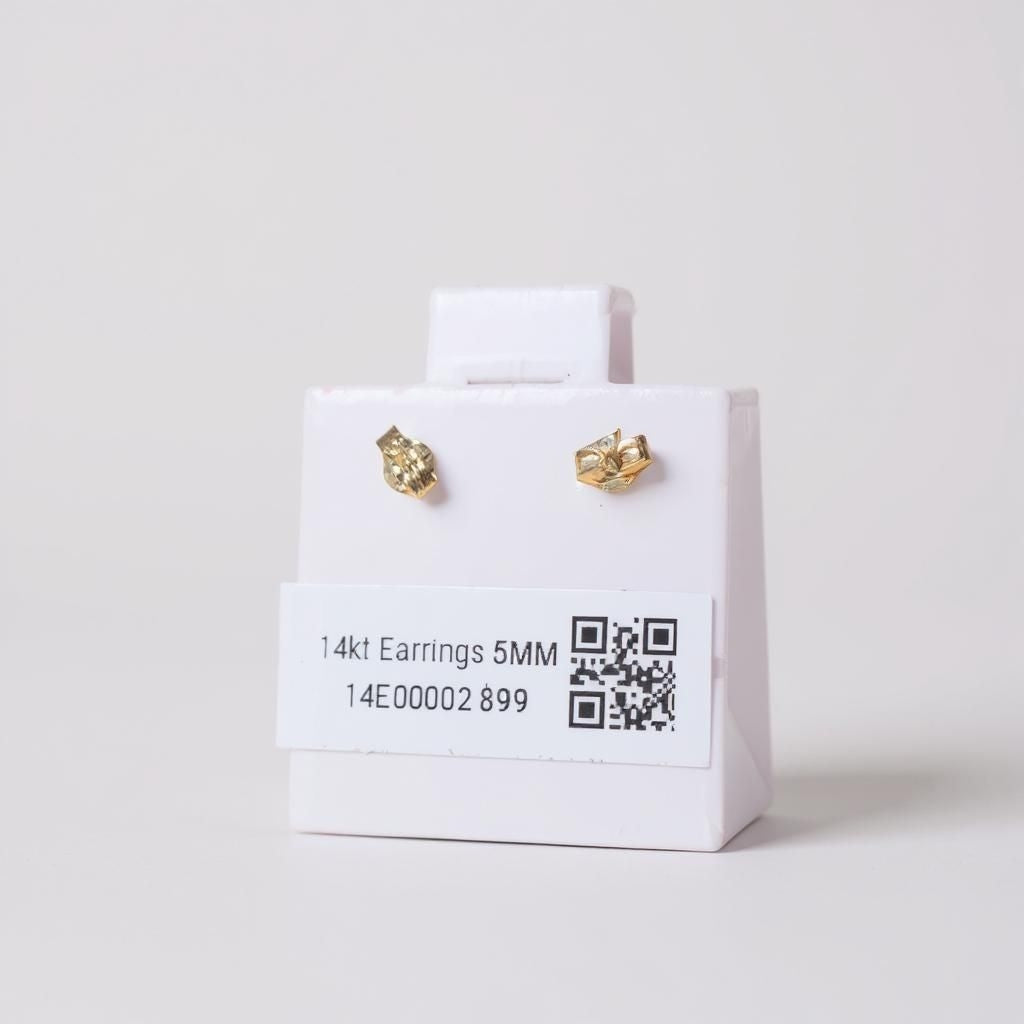 Earrings 14K Gold