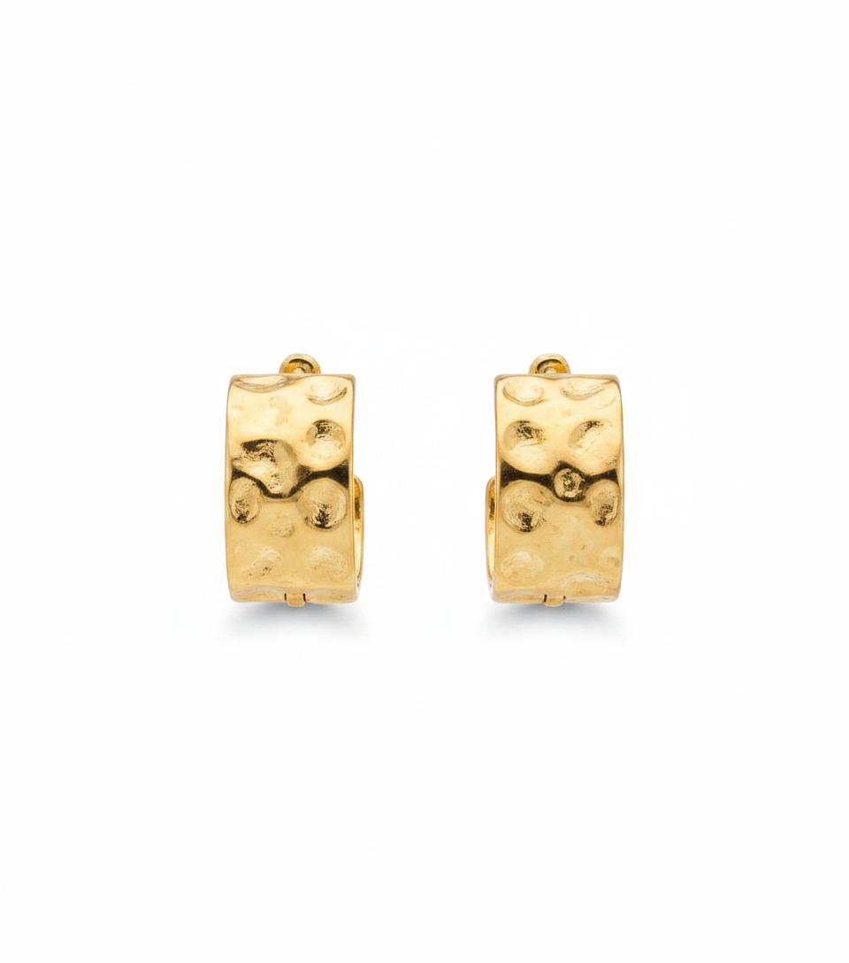 Stainless Steel Earrings