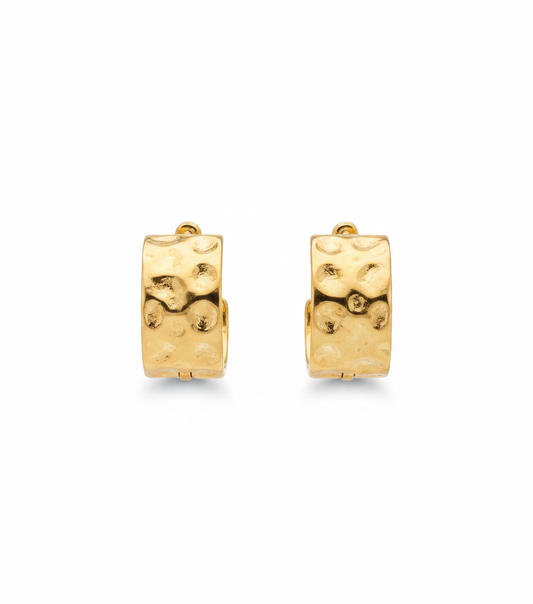 Stainless Steel Earrings