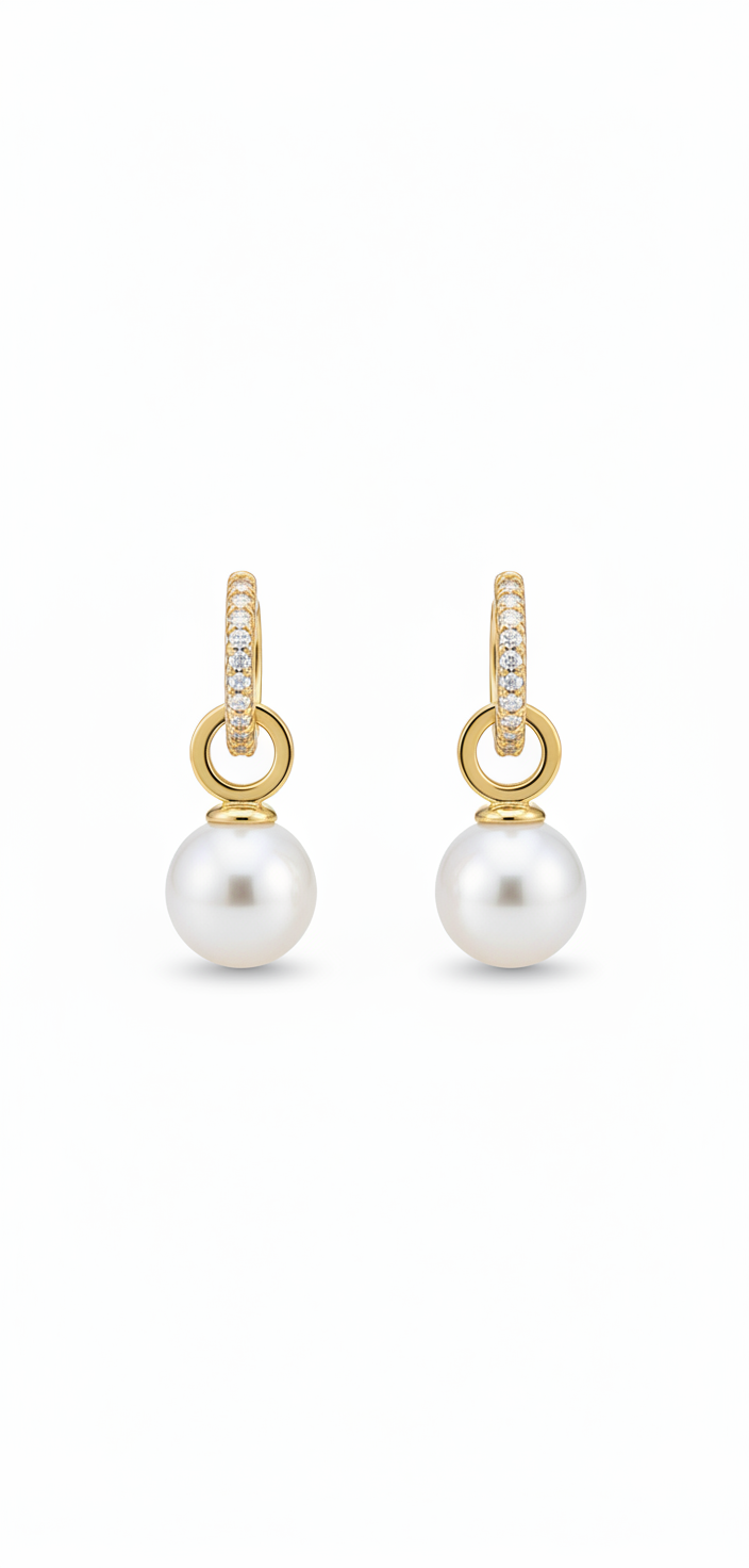 Stainless Steel Earrings